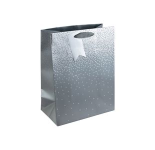 Eurowrap Gift Bag Silver Large Pk6