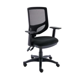 Astin Nesta Optr Chr Adj Arms