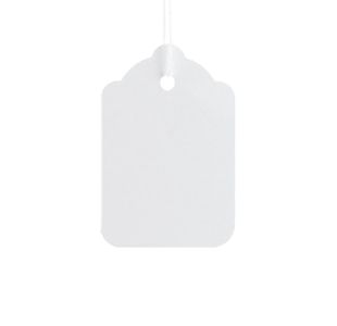 Strung Tags X100 29X20Mm White Pk25
