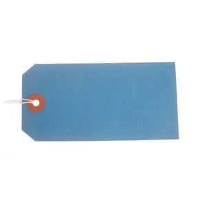 Strung Tags X10 60X120Mm Ast Pk50