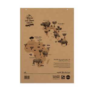 Rcyc Flipchart 20Mm Sqd/Pln A1 Pk5