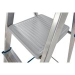 5 Tread Stepladder + High Handrail