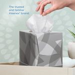 Facial Tissues X88 Sheets Wht Pk12