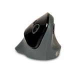 Bakkerelkhuizen Prf Wls Ver Mouse Rh