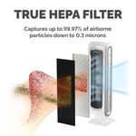 Fellowes Dx5 Small True Hepa Filter