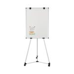 Earth Kyoto Mobile Magnetic Easel