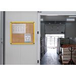 Ultrabrite Cork Display Case 12Xa4