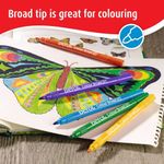 Berol Colour Broad Classpk Ast Pk288