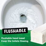 Z-Fold 2Ply Hand Towel 200/Pack Pk15
