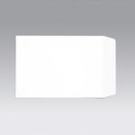 C4 Pkt Env Sseal Wht Pk250
