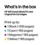 Hp 300 Ink Cart 2-Pkblk/Tri Col Cmy