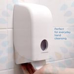 Eday Hand Cleanser Rfl 1L Pink Pk6