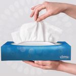 Facial Tissues X100 Tissues Wht Pk24