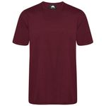 Plover Unisex T-Shirt Burgundy 5Xl