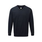 Buzzard V-Neck Sweatshirt Navy S