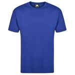 Plover Unisex T-Shirt Royal Blue 3Xl