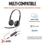 Poly Blackwire 3225 Usb-C/A Headset