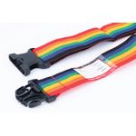 Status Luggage Strap Mcol Blst+Cdu