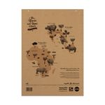 Rcyc Flipchart 20Mm Sqd/Pln A1 Pk5