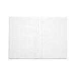 Rhino Ex Bk 80Pg 13X9 Grn Contr Pk50