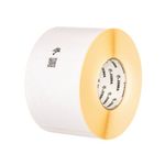 Zebra 1000T Label Roll 102X76Mm Pk12