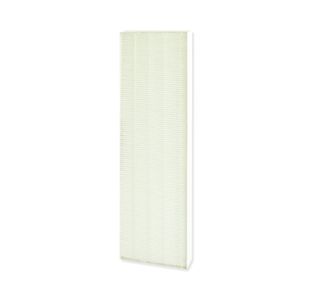Fellowes Dx5 Small True Hepa Filter