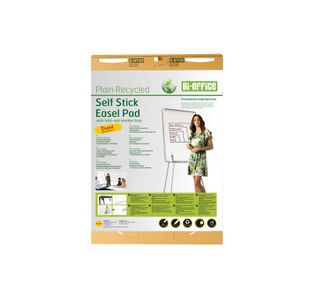 Earth Self Stick Flipchart Pad Pk2