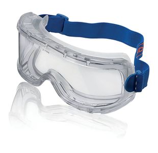 Beeswift Wide Vision Goggles Clear