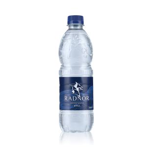 Radnor Hills Still Water 500Ml Pk24