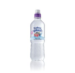 Radnor Splash Wtr F/Fruit 500Ml Pk24