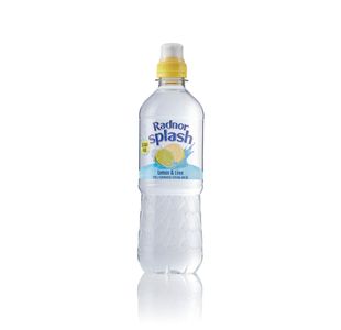 Radnor Splash Wtr Lem/Lim 500Ml Pk24