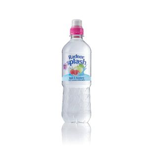 Radnor Splash Wtr Ap/Rasp 500Ml Pk24