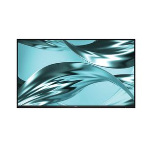 Dell Pro P2426H 24In Mon N/Stand Blk