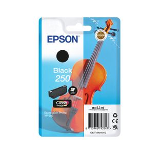 Epson 250 Ink Cartridge Black