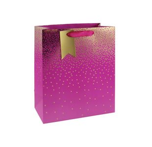 Eurowrap Ombre Gift Bag Lg Pink Pk6