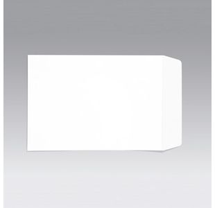 C4 Pkt Env Plsl 100Gsm Wht Pk250