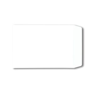 C4 Pkt Env Plsl 100Gsm Wht Pk250
