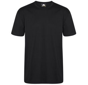 Plover Unisex T-Shirt Black 3Xl