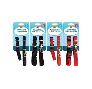 Dog Lead Collar Sm/Med X2 Ast Pk12