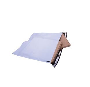 Gosecure Env 460X430Mm Ex Strn Pk100