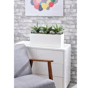 Agave/Succulent Matte White Trough