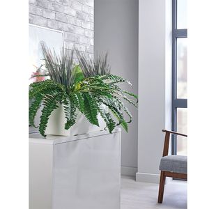 Boston Fern/Savannah Grass Lava