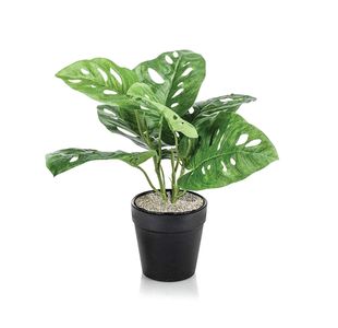 Tabletop Monstera Monkey White