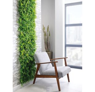 Juniper Uv Green Wall