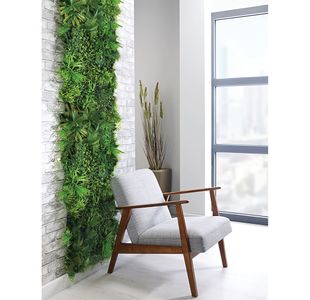 Fern Green Wall