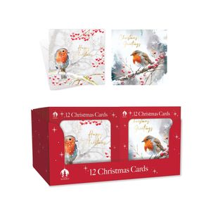 Boxed Robin/Holly Xmas Card X12 Pk24