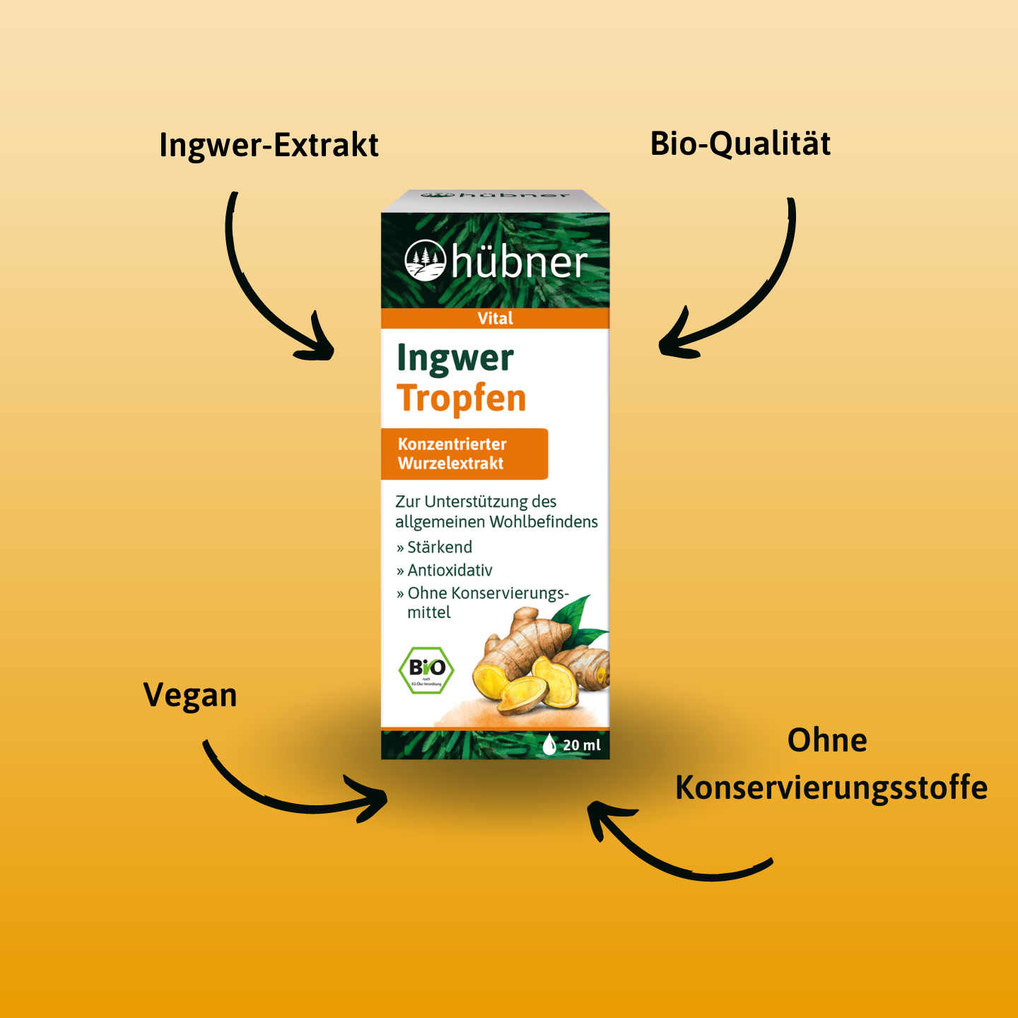 hübner® Ingwer Tropfen
