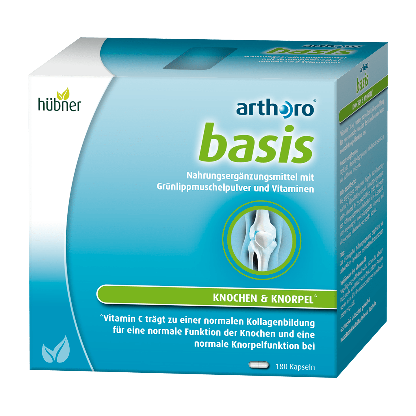  arthoro basis