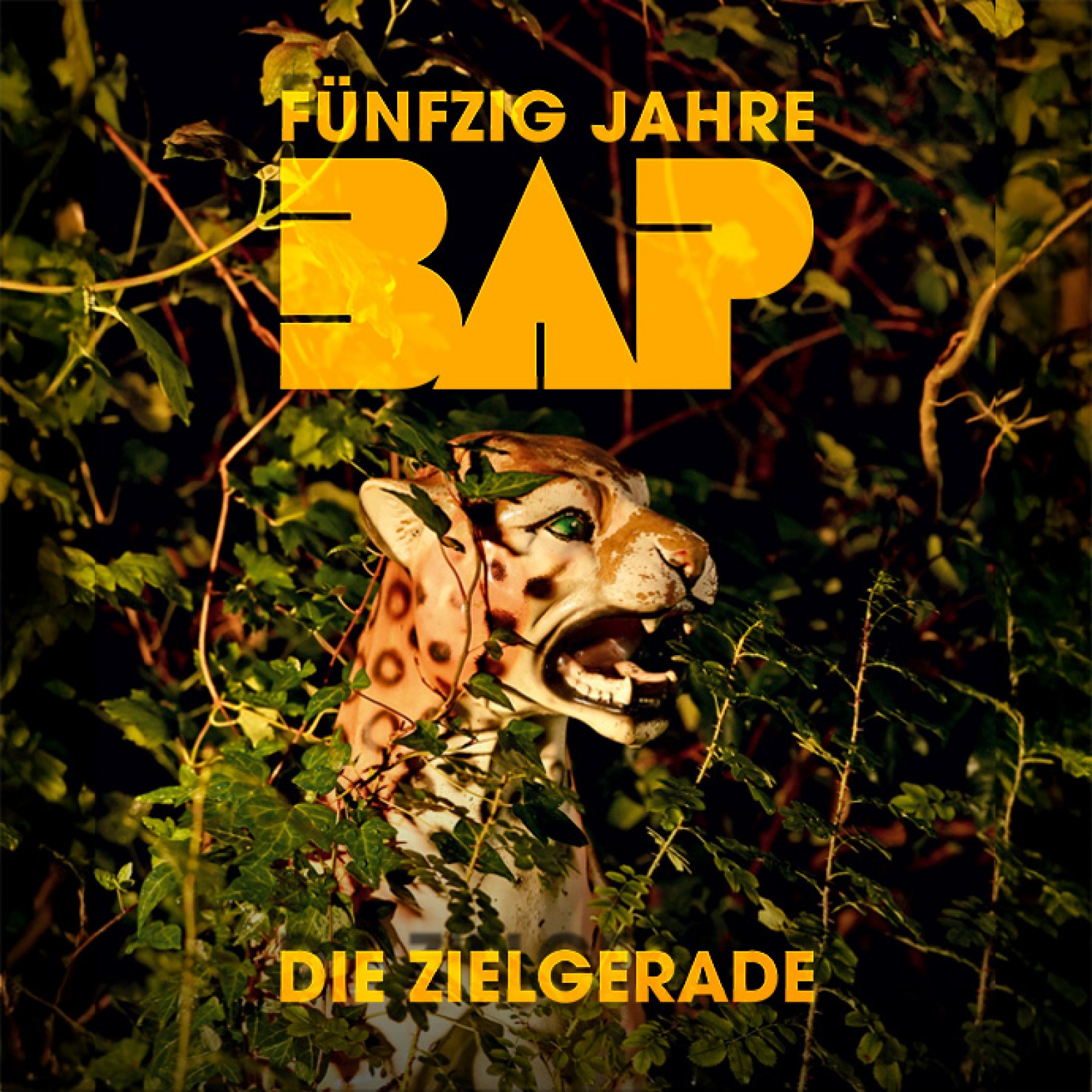 VIDEO-TRAILER