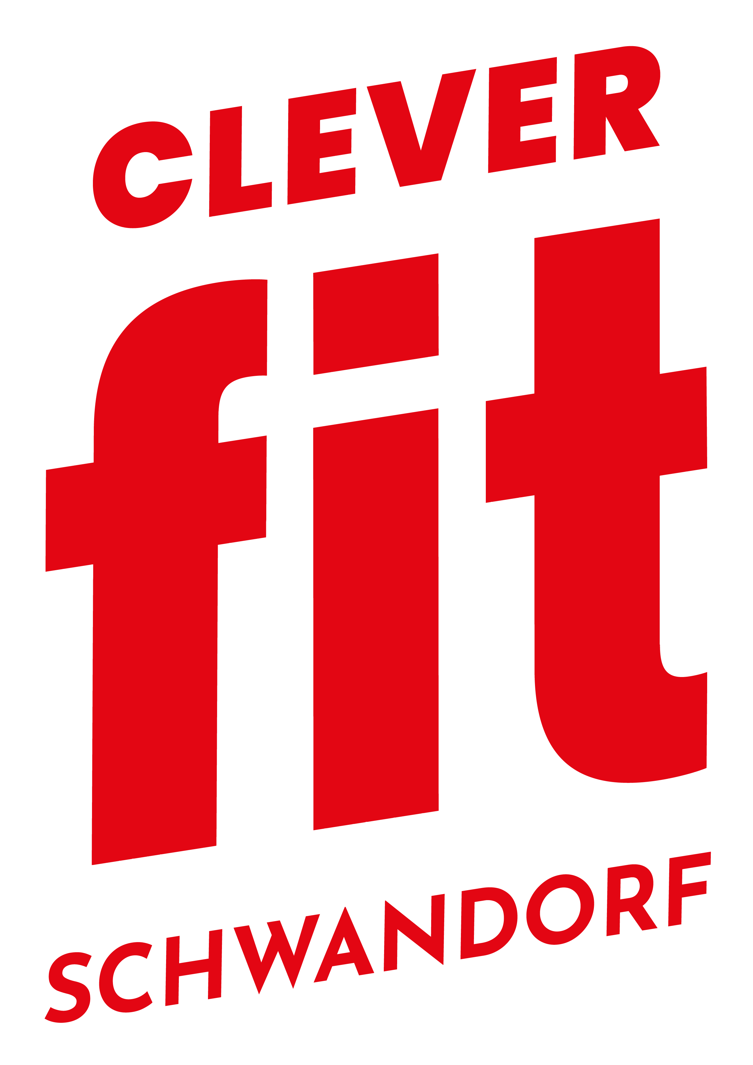 clever fit Schwandorf